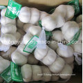 Pure White Garlic with Small Packing